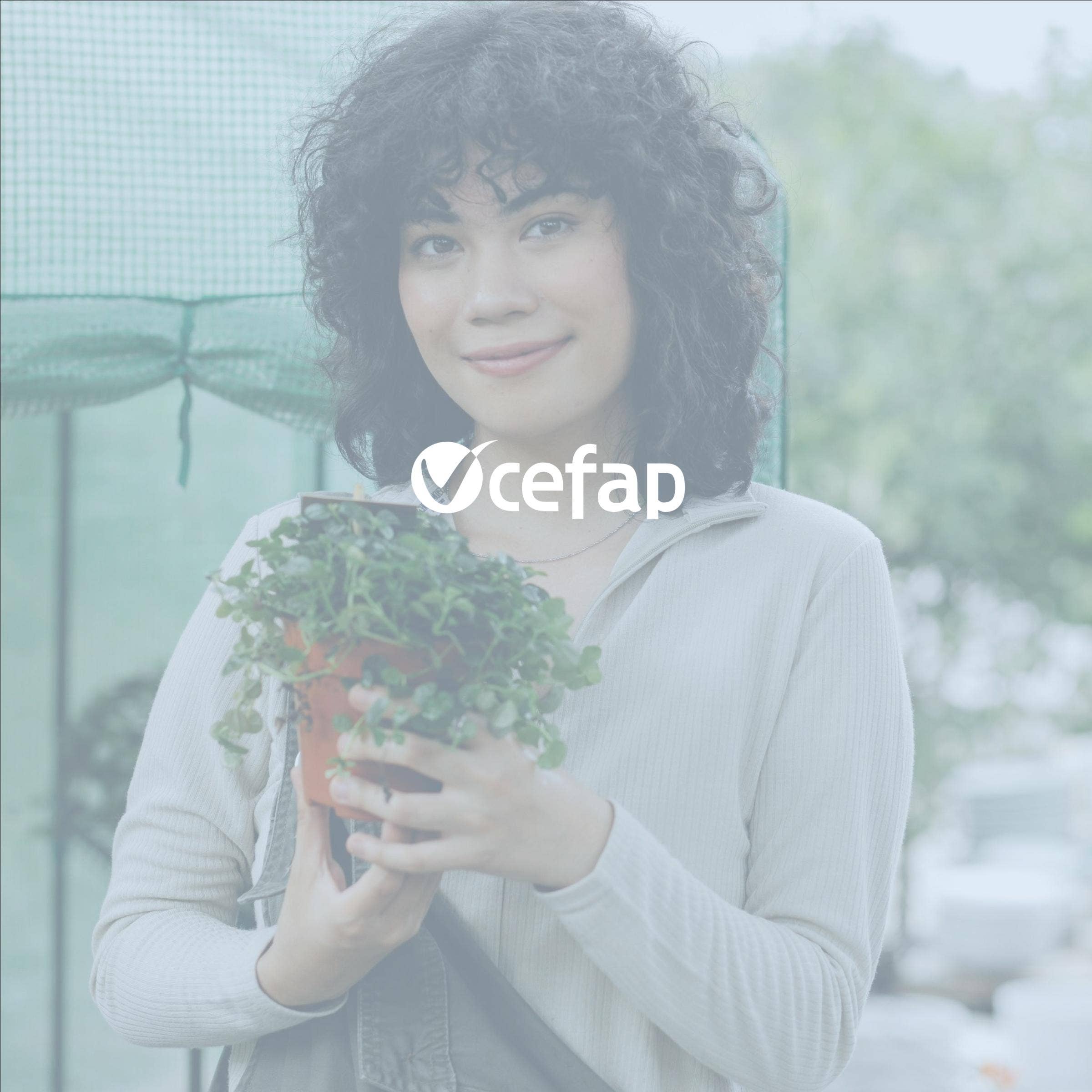 Recensione della bacheca di lavoro di CeFAP con prezzi, alternative e FAQs