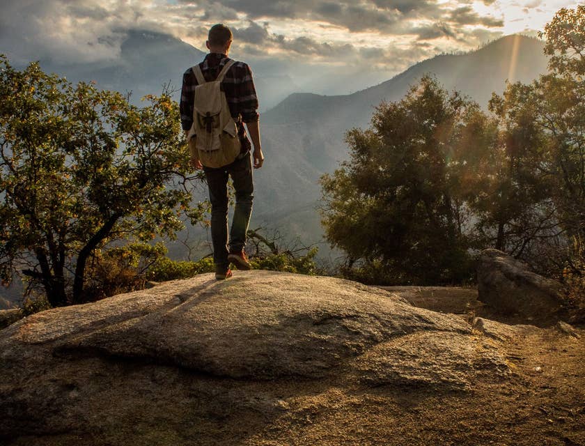 Backpacker Job Boards