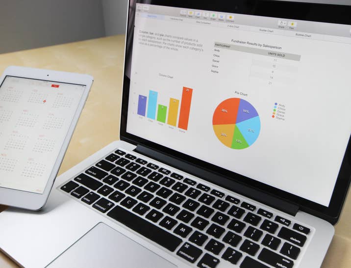 BI Consultant Job Description