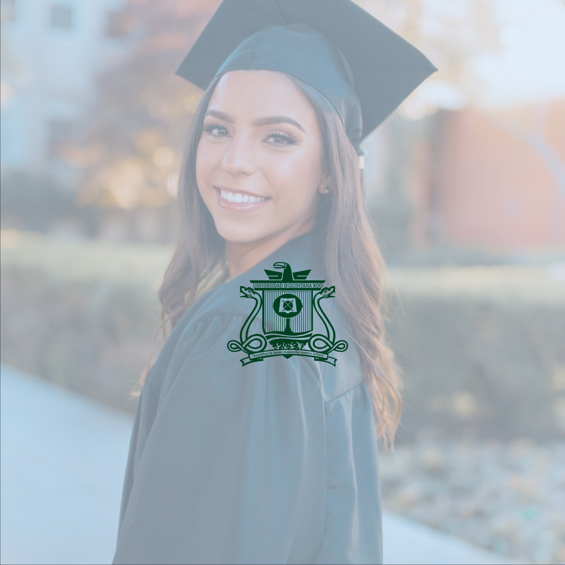 Bolsa de Trabajo UQROO - Reseña con precios, comparativos y preguntas frecuentes