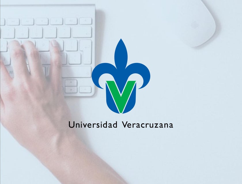 Logo de Bolsa de Trabajo UV.