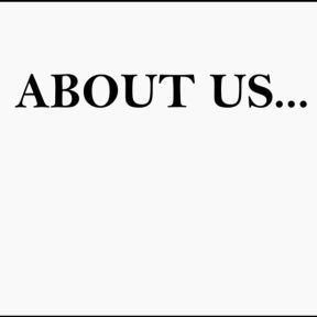Introduce your company.