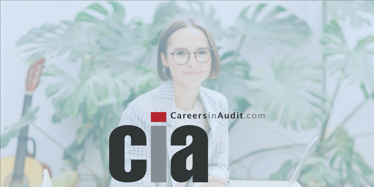 CareersinAudit.com logo.