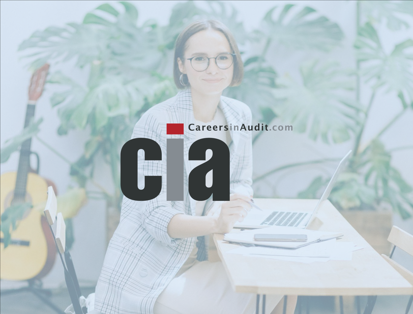 CareersinAudit.com logo.