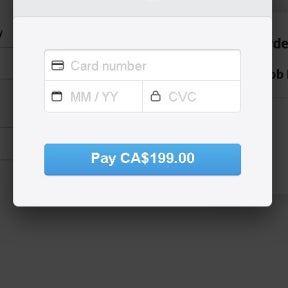 Enter your payment details.