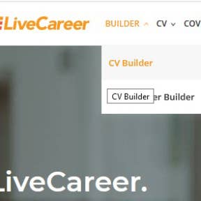 Click on "CV Builder."