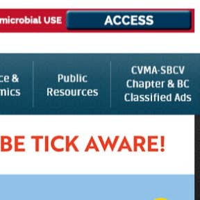 Hover over "CVMA-SBCV Chapter & BC Classified Ads."