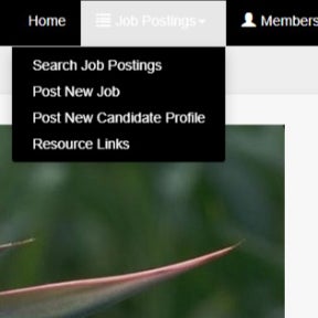 Click on "Job Postings"