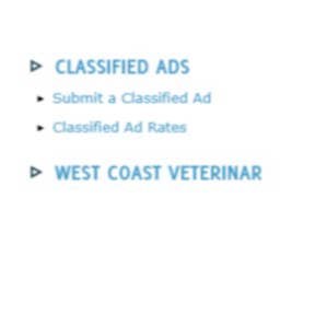 Click on "Submit a Classified Ad."