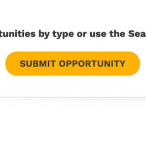 Click on "SUBMIT OPPORTUNITY."