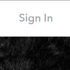 Click “Sign In.”