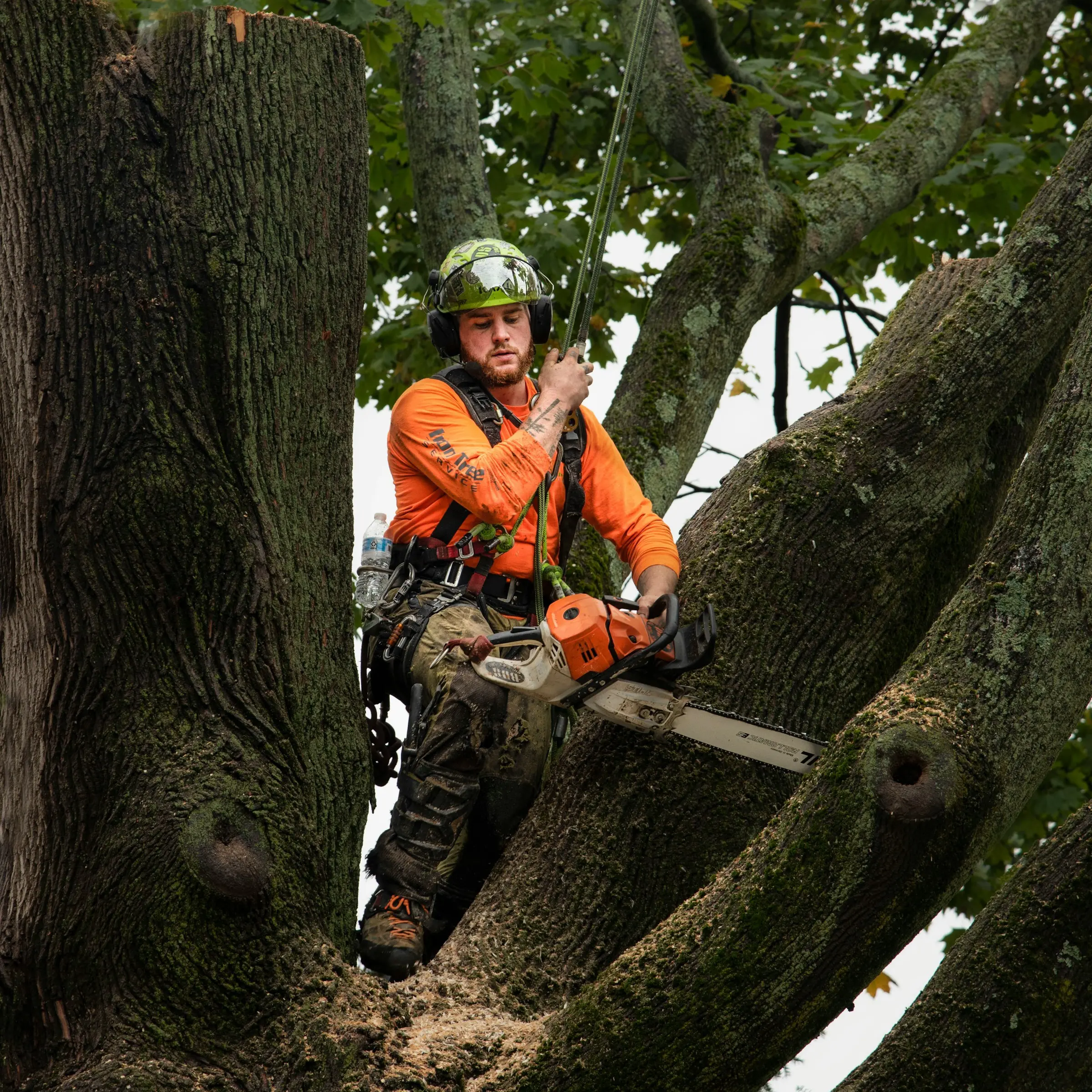 ClimbingArboristJobs.com Review With Pricing, Alternatives, and FAQs