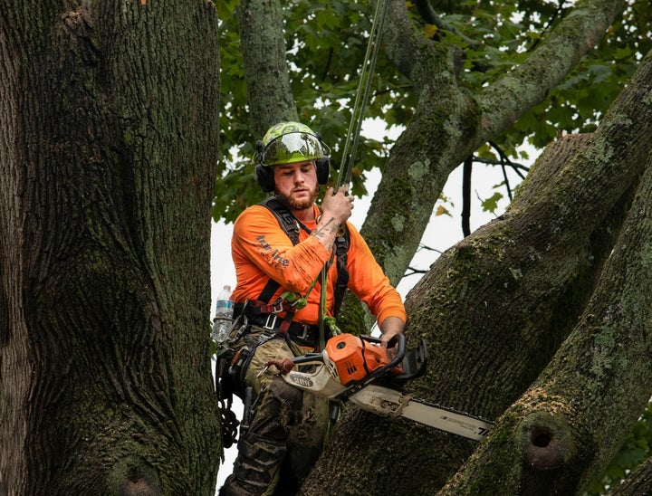 ClimbingArboristJobs.com Review With Pricing, Alternatives, and FAQs