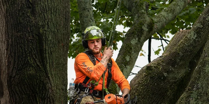 A man in a helmet sitting on a tree branch.