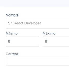 Completar datos de la vacante.