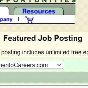 Complete the job ad form.