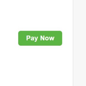 Complete the payment.