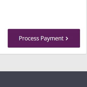 Complete the payment and publish.