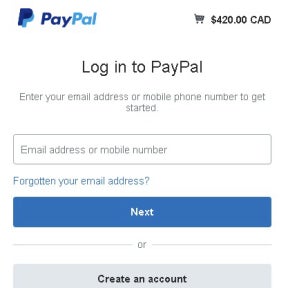 Log in to your PayPal account.