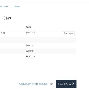 Review your purchase and click "PAY NOW."