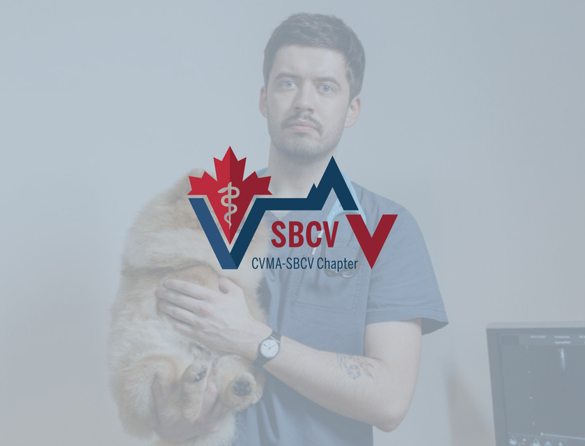 CVMA-SBCV Chapter logo.