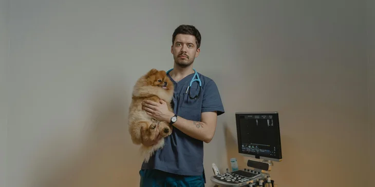 A veterinarian holding a dog.