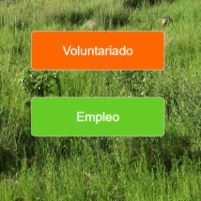 Da clic en "EMPLEO".