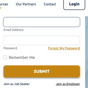 Navigate to the Dental Staffing home page.