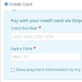 Complete the payment and post your job.