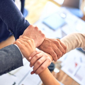 Describe what you can offer the company or institution.