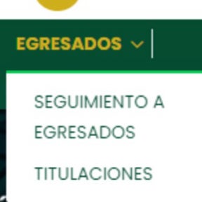 Dirígete a la barra principal de opciones.