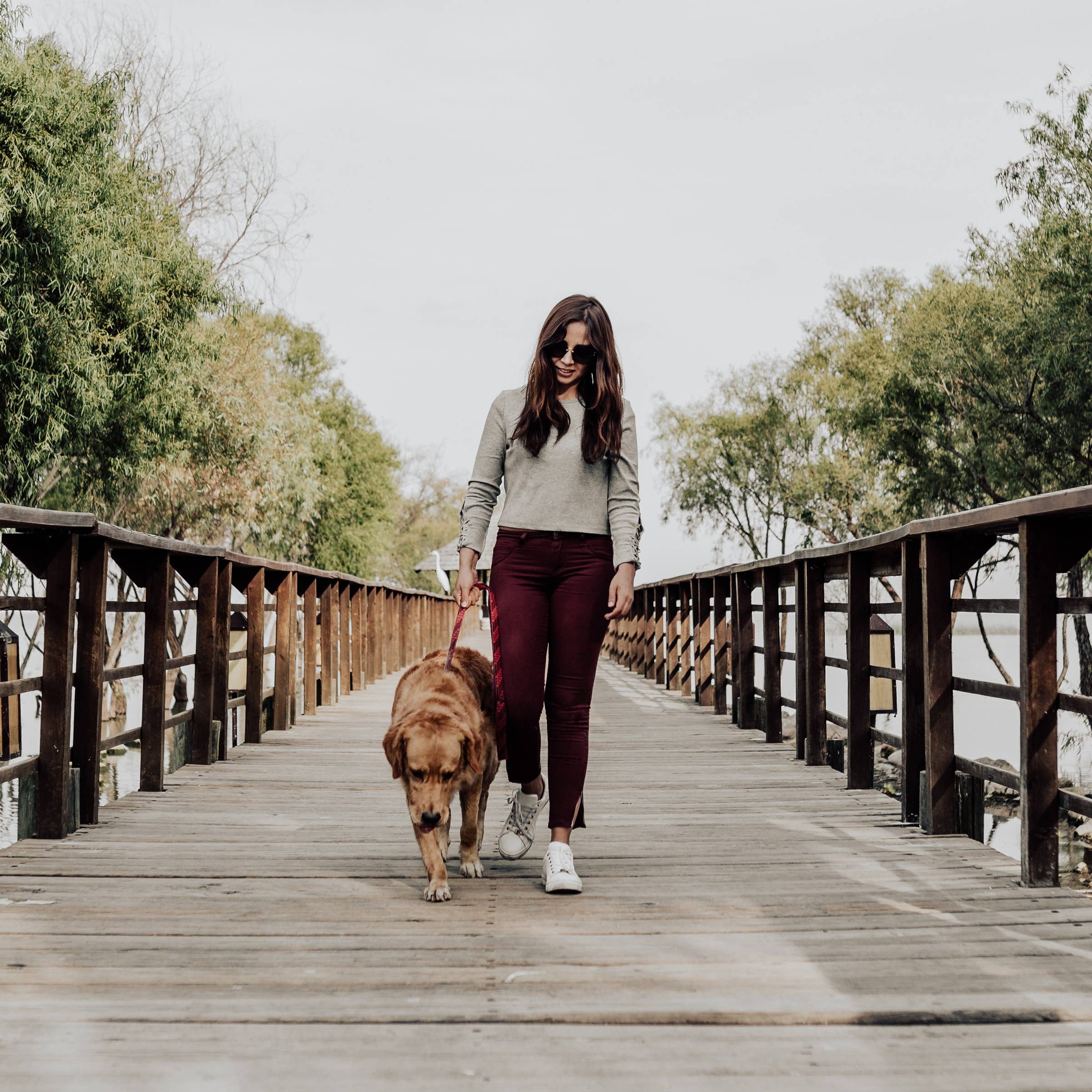 What Qualities Make A Good Dog Walker