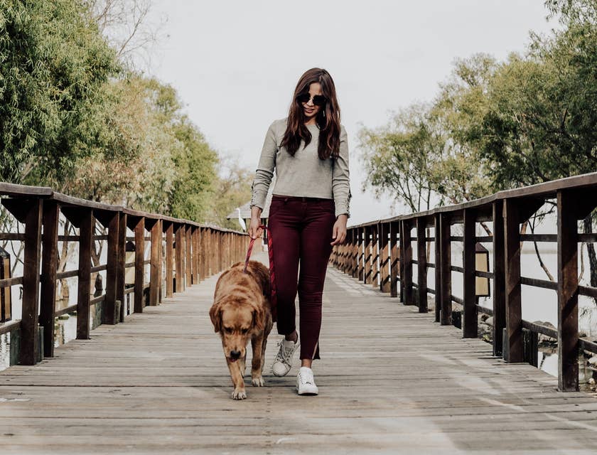 dog walker walking a dog