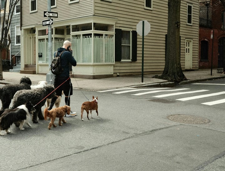 Dog Walker Interview Questions