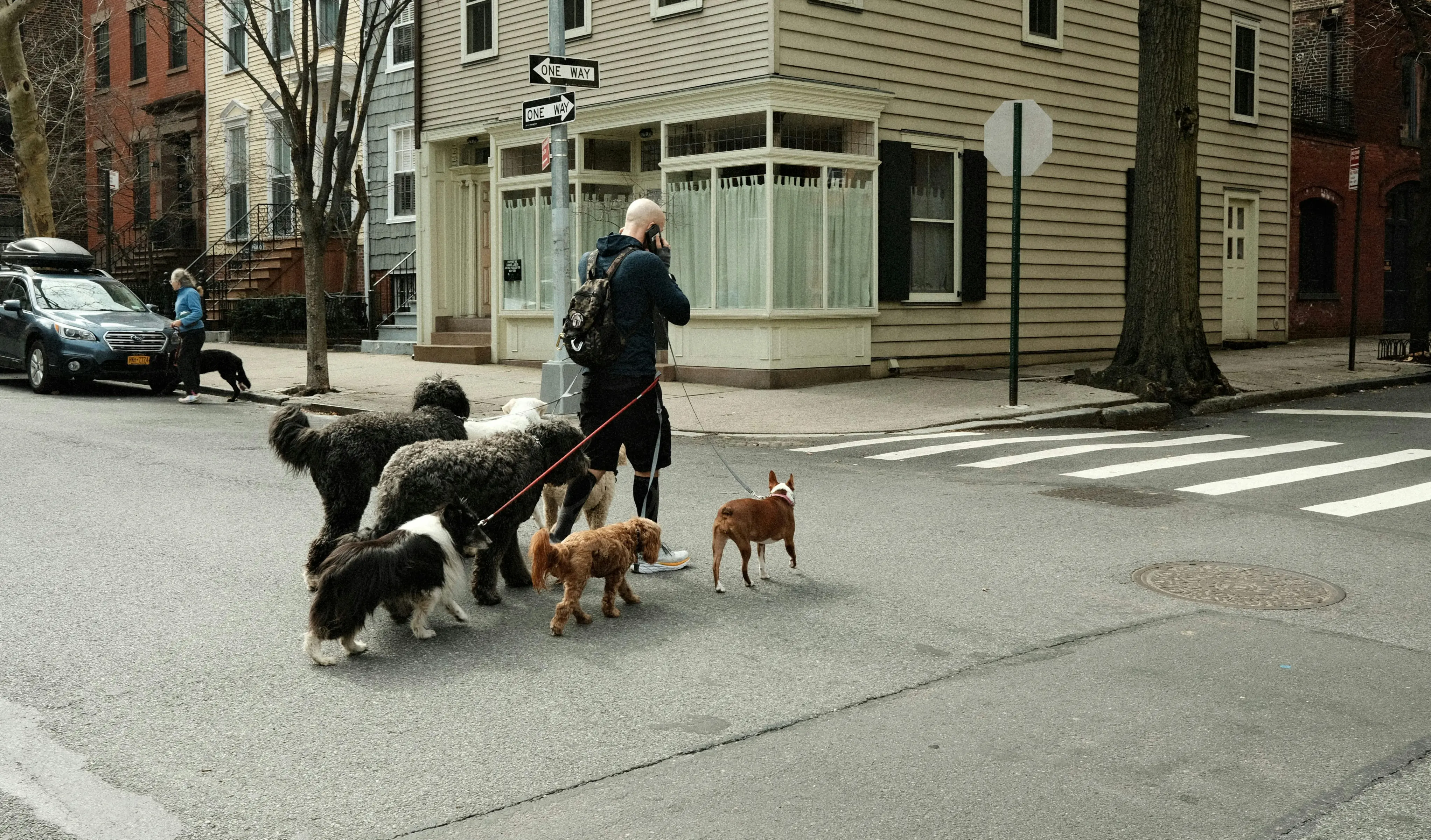 Dog Walker Job Description