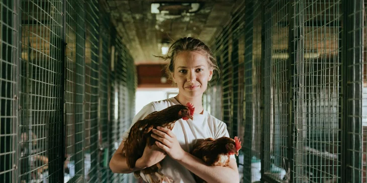A young woman holding two chickens in a barn.