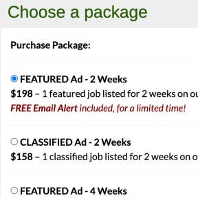 Select a job posting package.