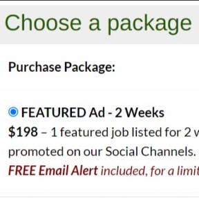 Select a job posting package.