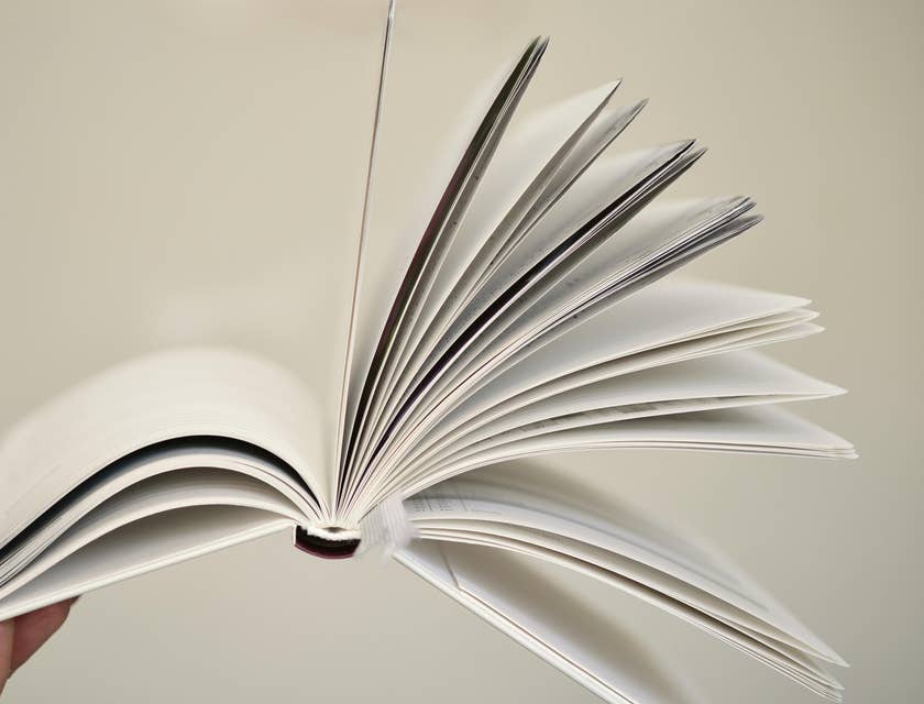 Handbook being held against a white background