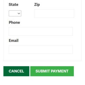 Enter your billing information and complete the payment.