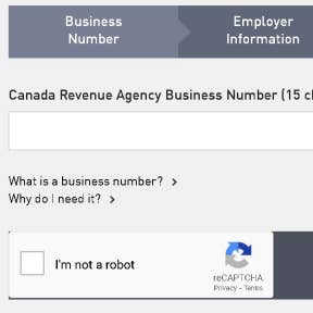 Enter your "Canada Revenue Agency Business Number."