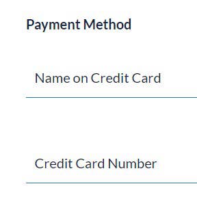 Enter your payment details.