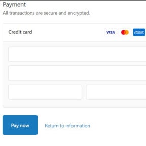 Enter your payment details.