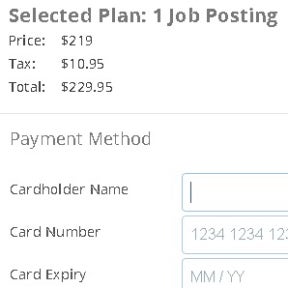Enter your payment details.