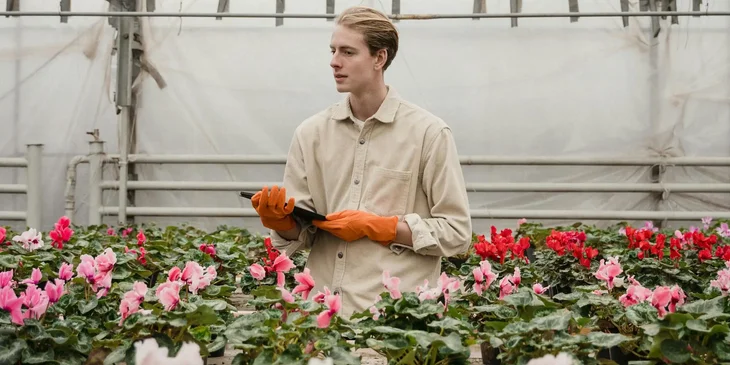 A man inspecting some plants.