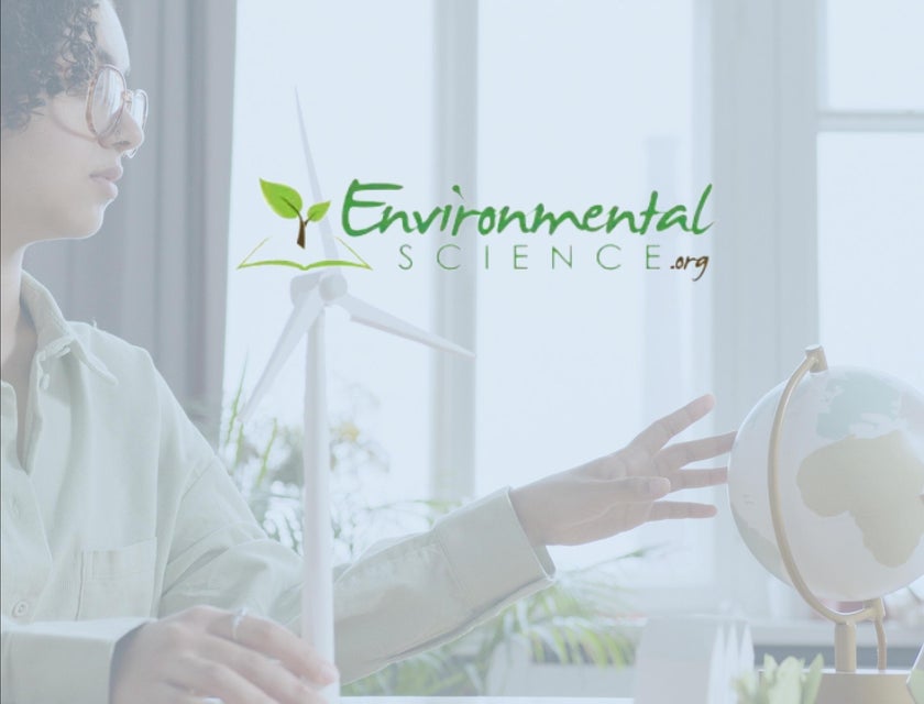 EnvironmentalScience.org logo