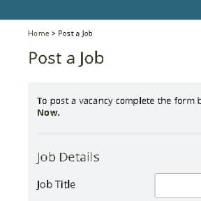 Fill in the job posting form.