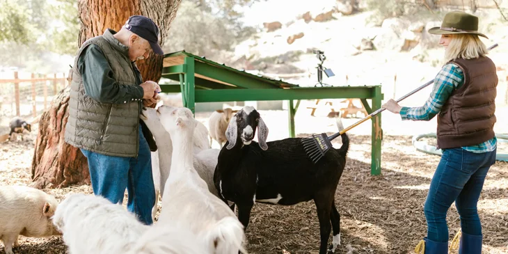 Farmers feeding the animals at the ranch.