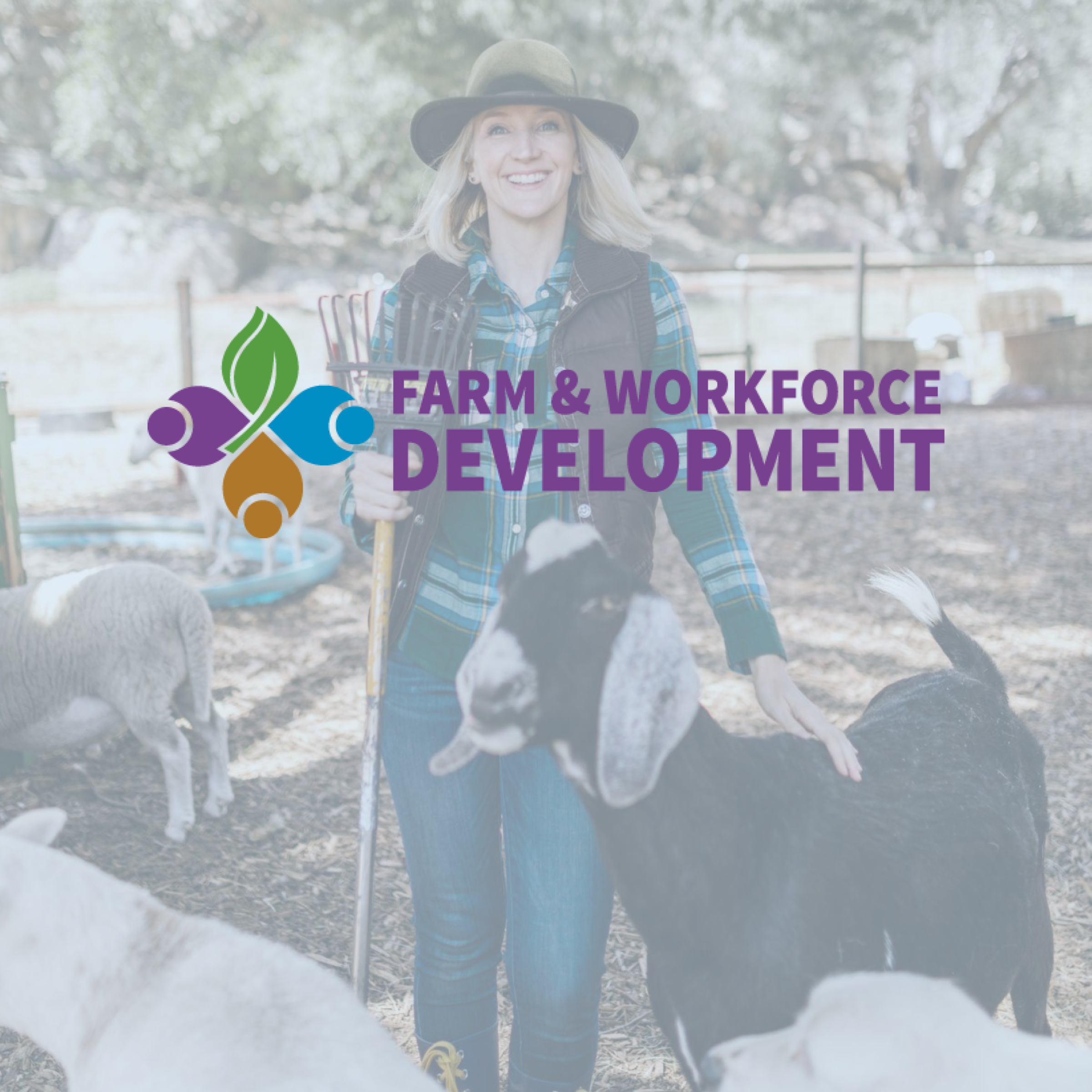Farm and Workforce Development Job Bank Review With Pricing, Alternatives, and FAQs