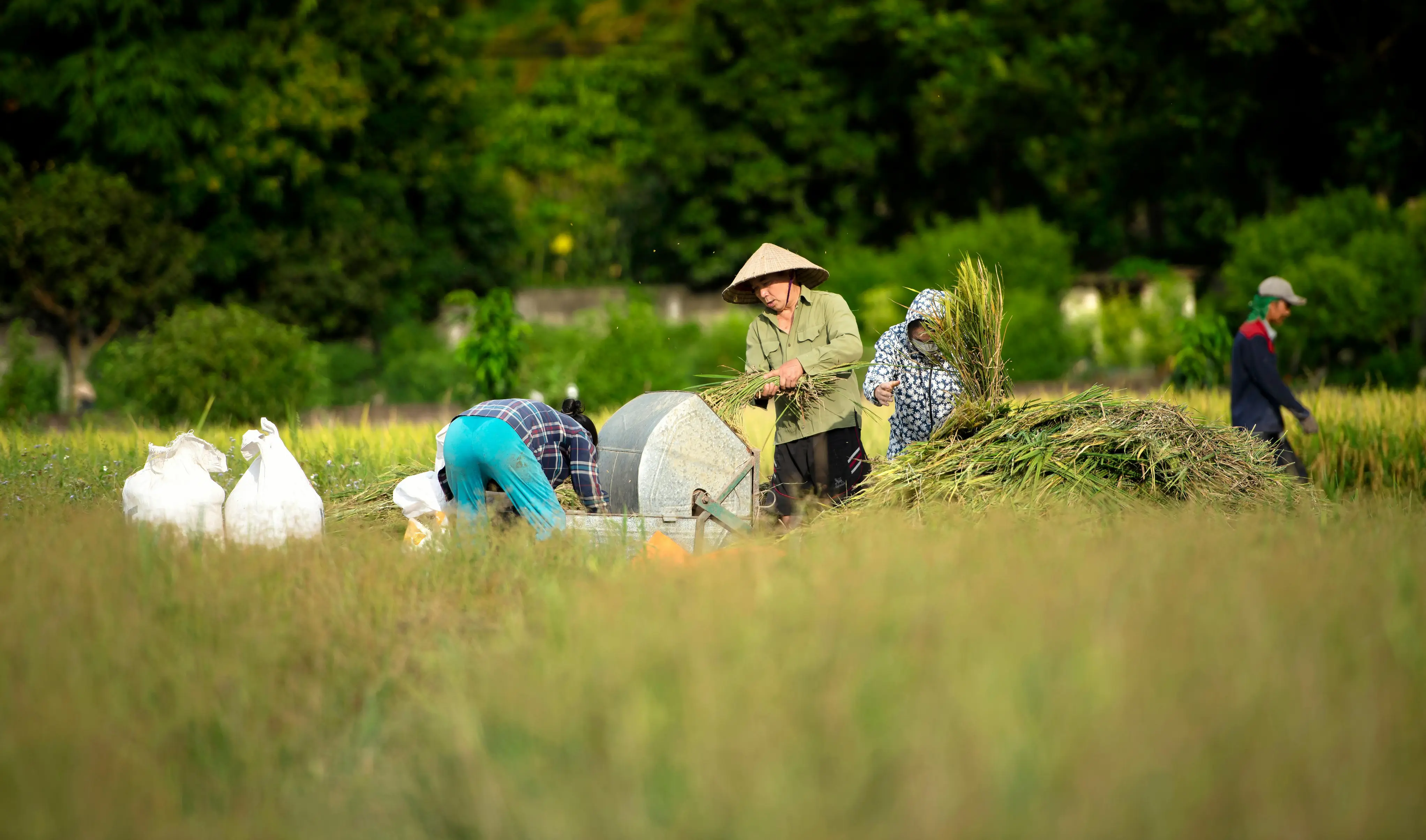 Farm Job Search Review With Pricing, Alternatives, and FAQs